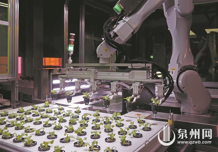 種菜不再“靠天吃飯” 無人植物工廠里的“新質”密碼——資源再生利用技術的革命